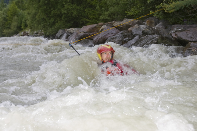 ffnen Cowtail Finki